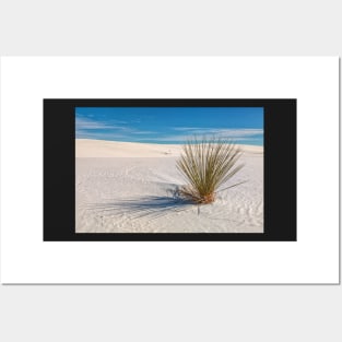 Lone Yucca Posters and Art